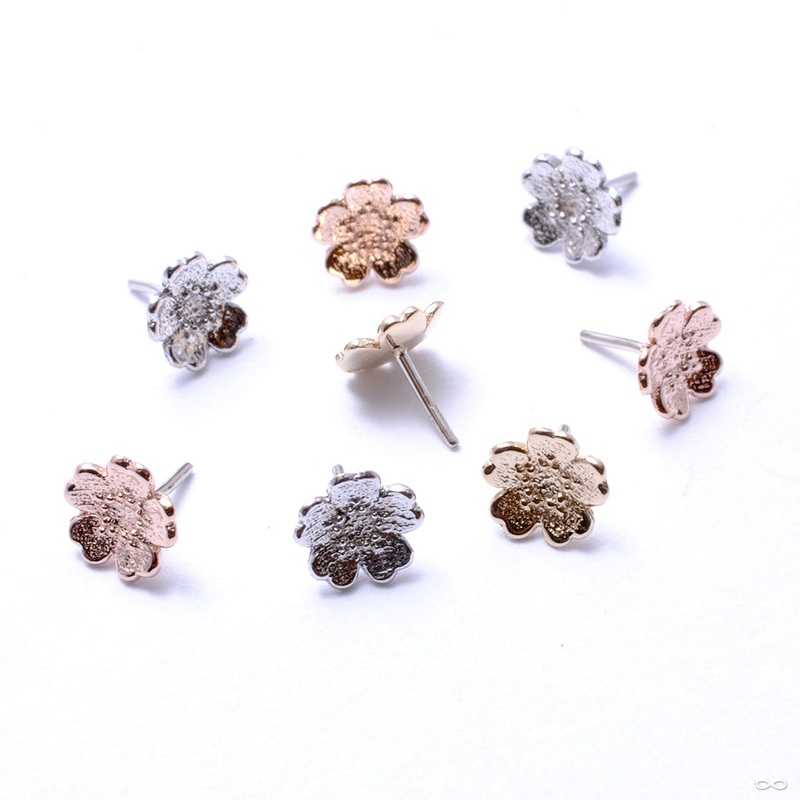 Simple Daisy Press-fit End in Gold from BVLA 14k Rose Gold