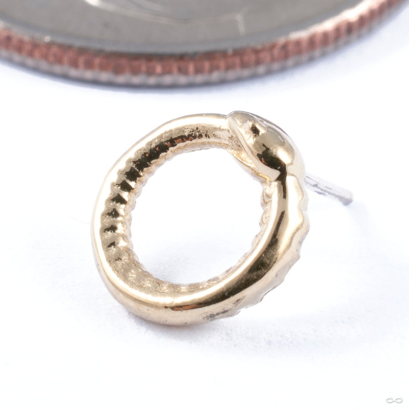 Auroboros Press-fit End in Gold from Regalia 18k Yellow Gold