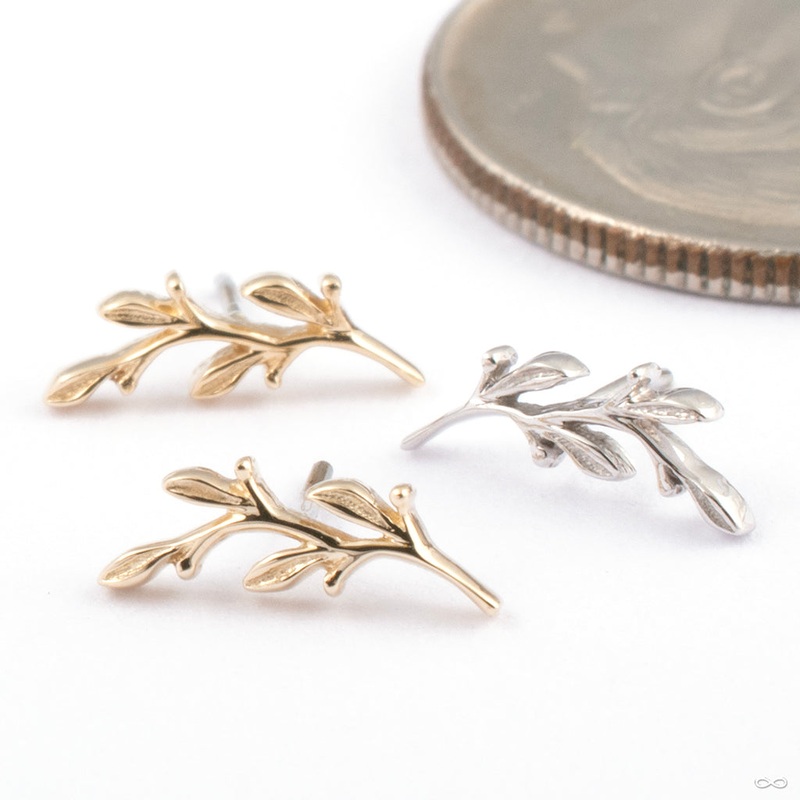 Amity Press-fit End in Gold from BVLA 14k White Gold Right