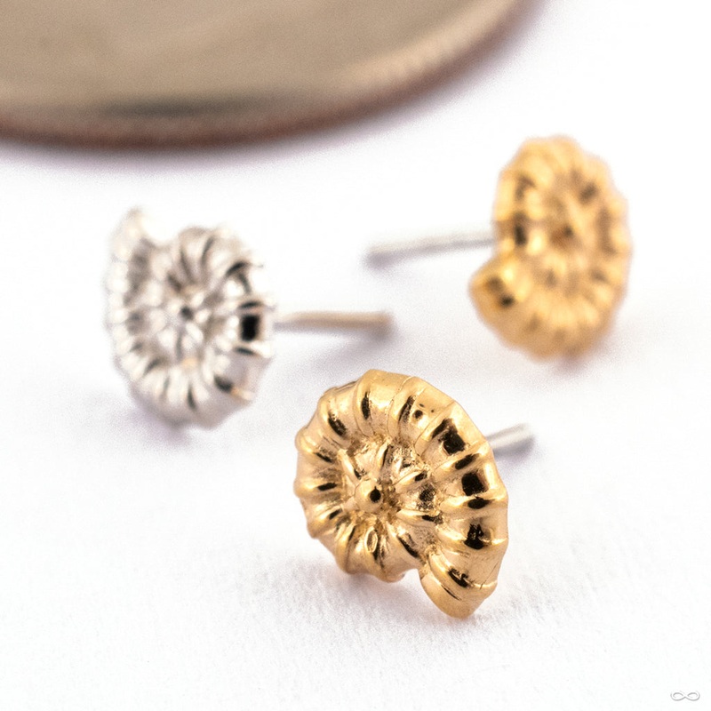 Ammonite Press-fit End in Gold from Oracle 14k White Gold